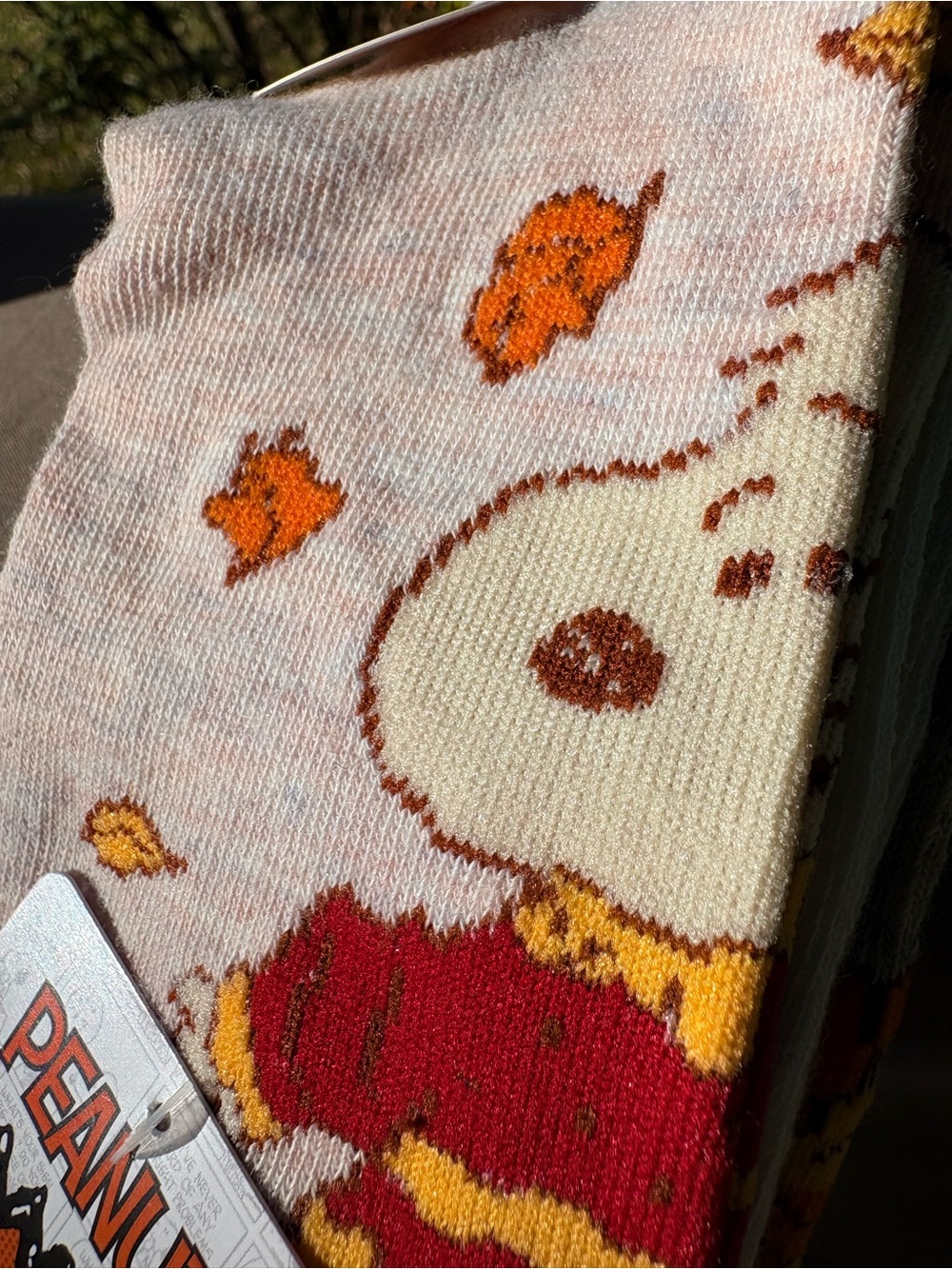 Peanuts Snoopy Mid-Crew Bundle of 5 Pairs of Fall Themed Graphic Design Socks - Picture 4 of 11
